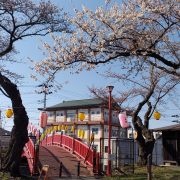 【4/23-24】中古車フェア開催 コメリパワー大館店 駐車場