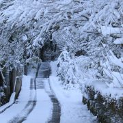 年末年始休業日のお知らせ